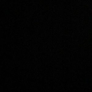 Meet your Posher, Willie